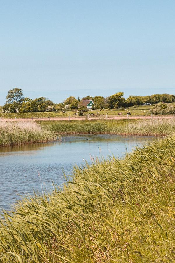 Bed and Breakfast Bed & Bakkie Het Lamsoor Texel 't Horntje Exterior foto